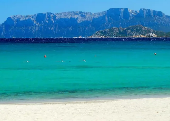 Sardegna Casa A 250 Metri Dal Mare Con Piscina * Olbia