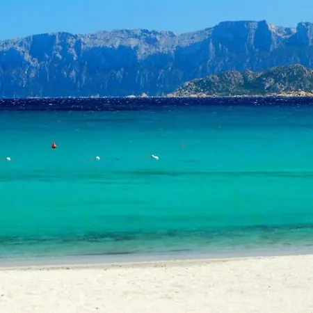 Sardegna Casa A 250 Metri Dal Mare Con Piscina * Olbia