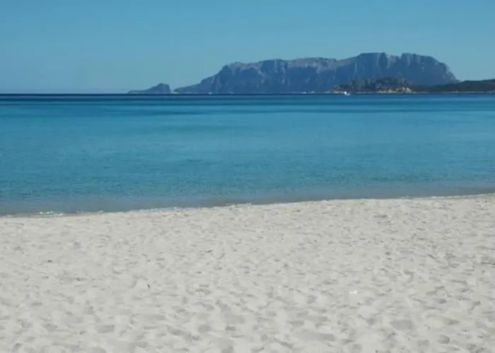 アパート Sardegna Casa A 250 Metri Dal Mare Con Piscina